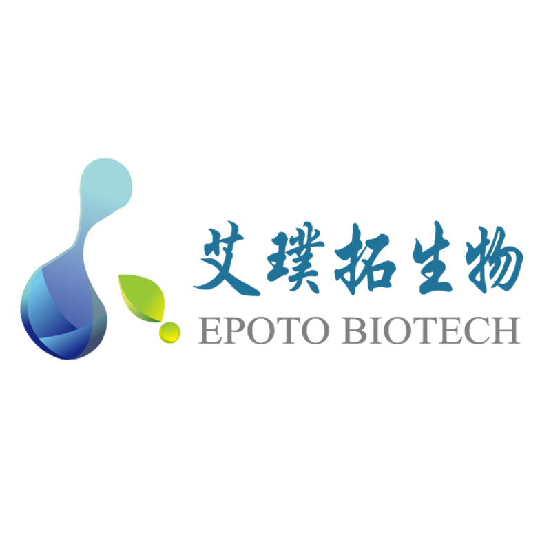 赞助商8.jpg