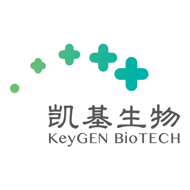 赞助商10.jpg